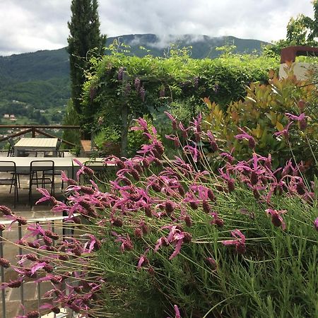 Agriturismo Braccicorti Pieve Fosciana Exterior photo