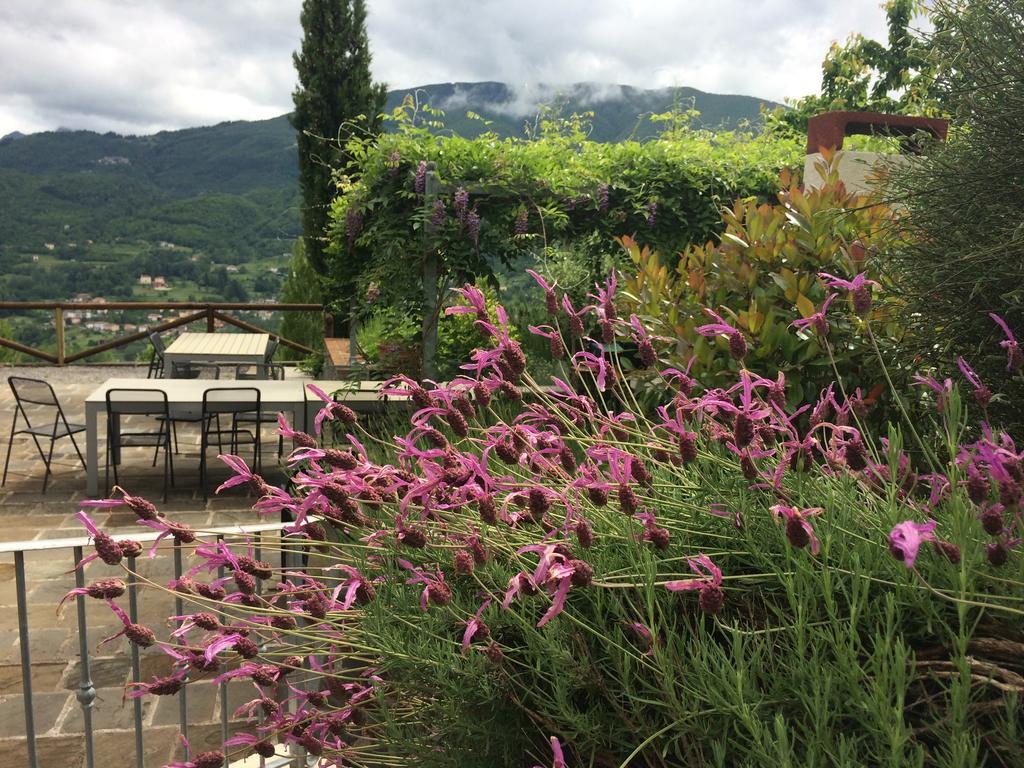 Agriturismo Braccicorti Pieve Fosciana Exterior photo
